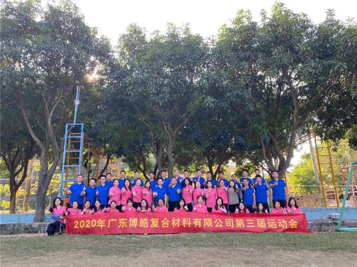 廣東博皓是華南乃至中國品種最齊全、服務最快捷的復合材料(玻璃鋼)原（輔）材料供應商