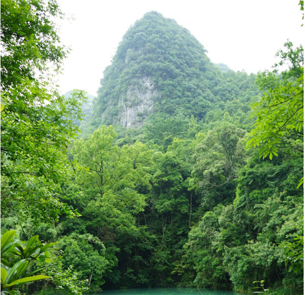 賞華夏大地，游多彩貴州-－2021年廣東博皓快樂行-2
