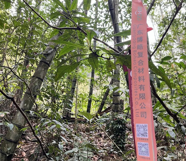 凝心聚力再出發，風雨同舟赴星溪！--廣東博皓2024龍年首登星溪之旅     -2