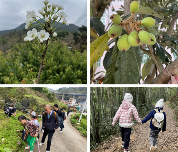 凝心聚力再出發，風雨同舟赴星溪！--廣東博皓2024龍年首登星溪之旅     -4