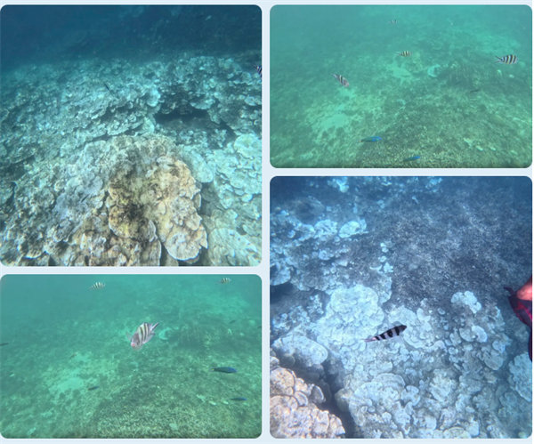 風雨兼程二十載，馬來之旅續新篇&mdash;&mdash;2024年博皓沙巴風情之旅     -6