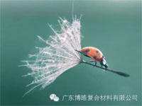 【博皓感悟】成功，要“借力”，不要“盡力”