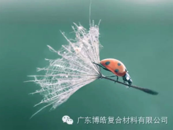 【博皓感悟】成功，要&ldquo;借力&rdquo;，不要&ldquo;盡力&rdquo;