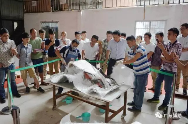 中國不飽和聚酯樹脂行業(yè)協(xié)會 華南玻璃鋼新技術(shù)交流培訓(xùn)中心第三期玻璃鋼模具制作培訓(xùn)班-16