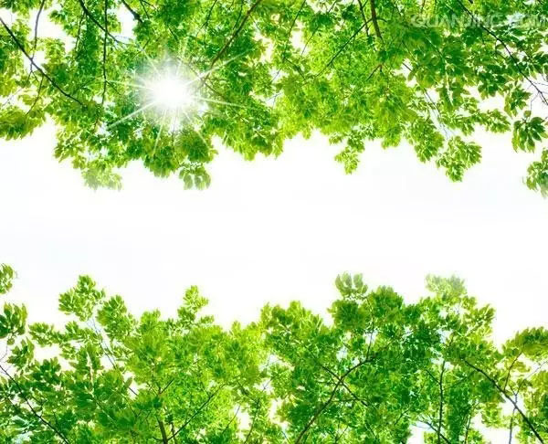 人生實苦，但請你足夠相信！